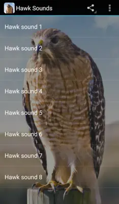 Hawk Sounds android App screenshot 0